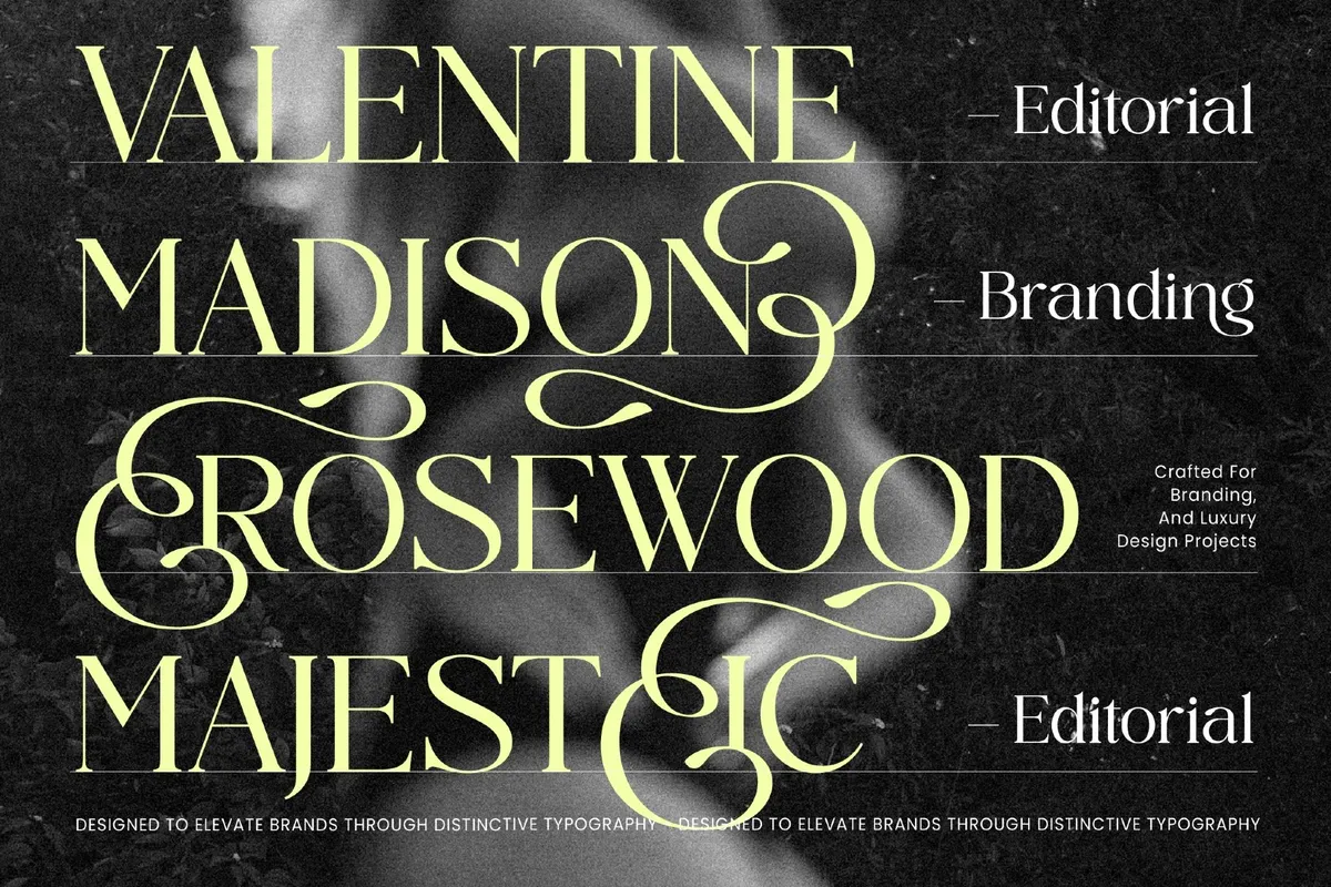 Midnight Cafe Society - Elegant Serif Font
