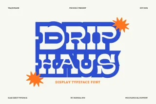 Drip Haus - Retro Slab Serif Font