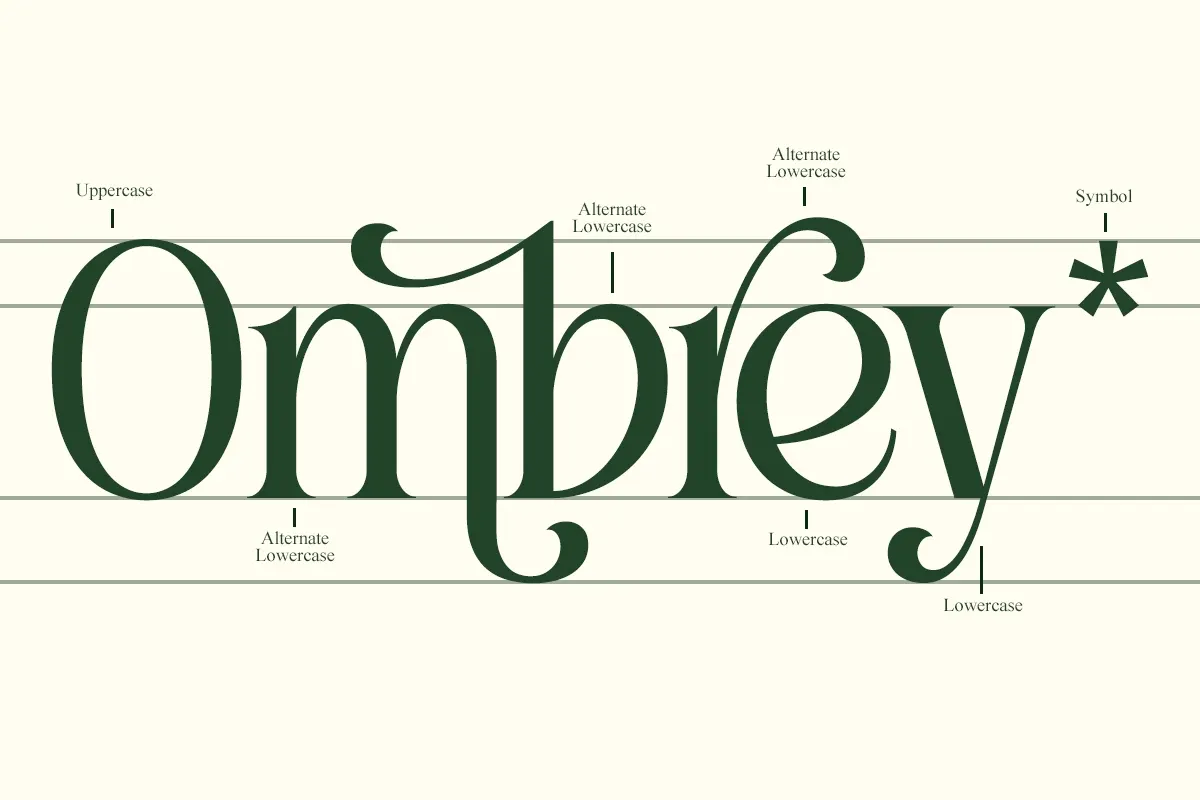 Roilega - Elegant Luxury Serif Family Font