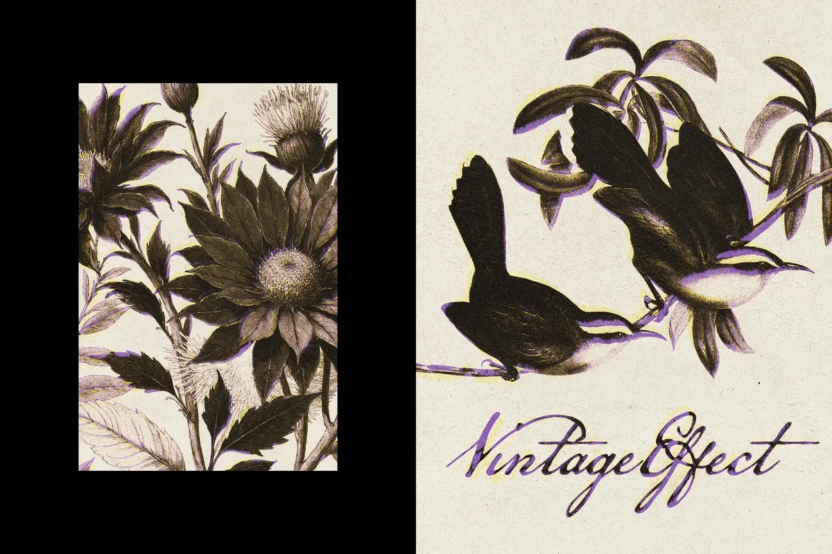 Vintage Paper Print Effect