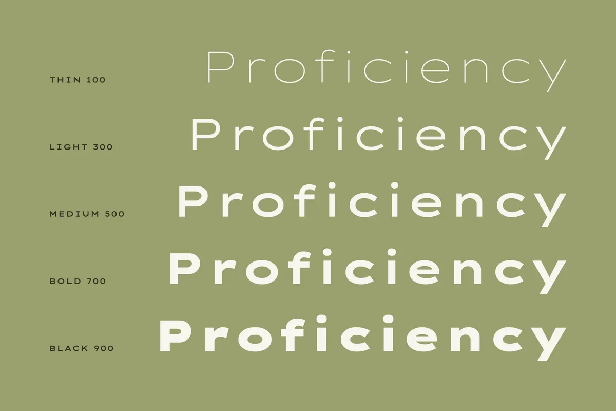 Lexend Zetta - Free Wide Geometric Font