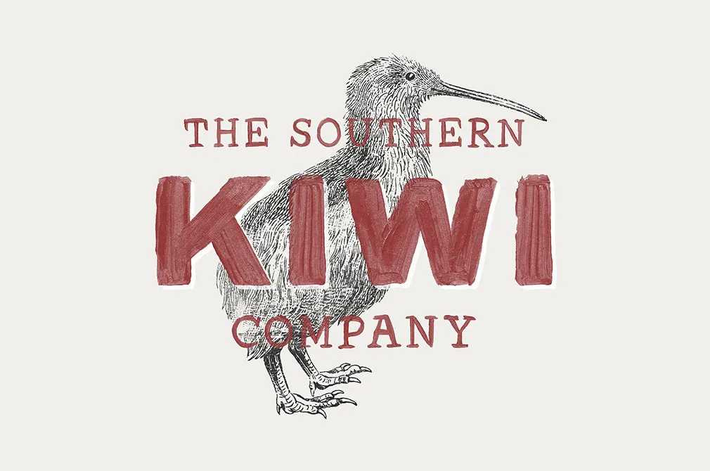 36 Engraved Bird Illustrations