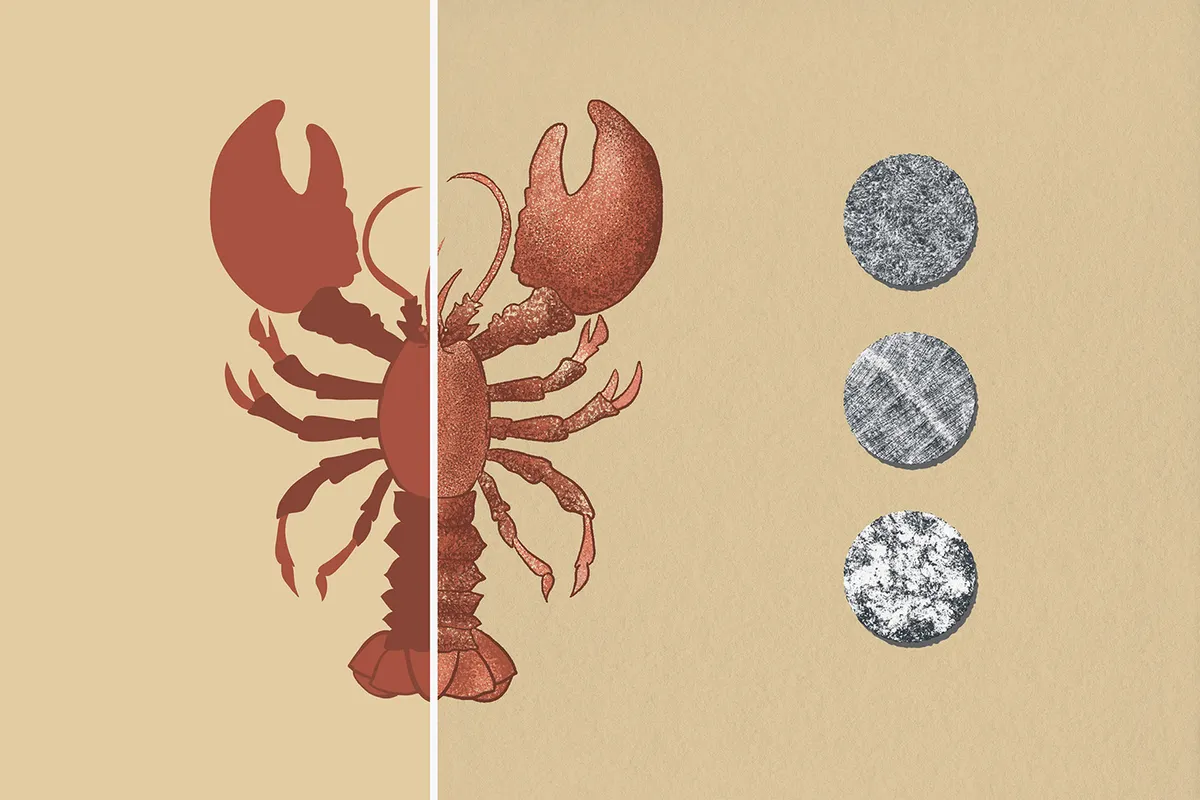 Tinge Texture Affinity Designer Brushes