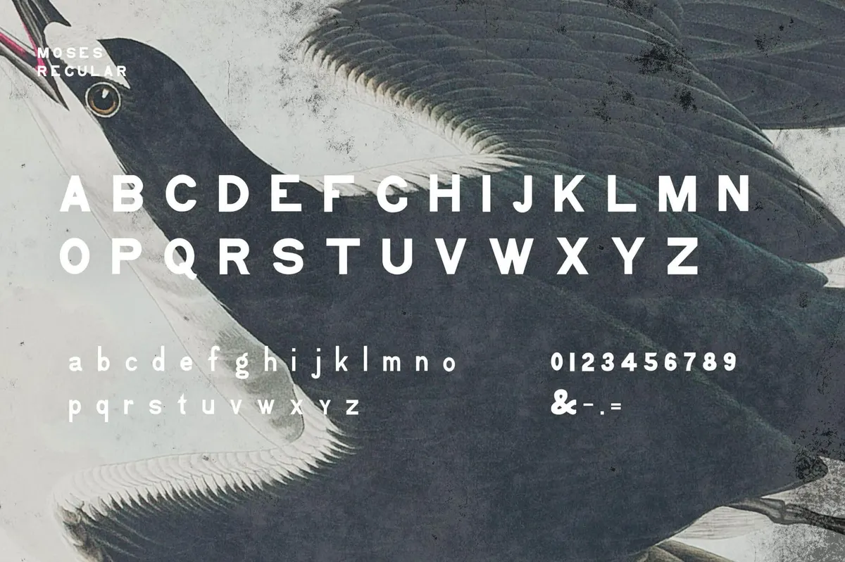 Moses Display Grotesque Typeface