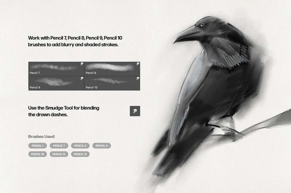 Pencil Photoshop Brushes