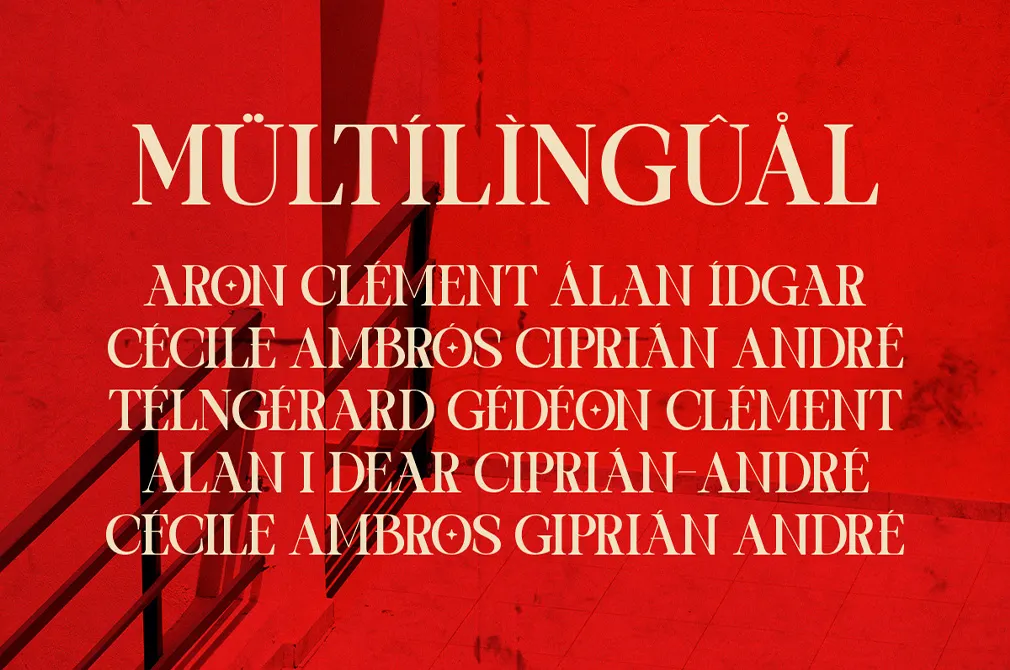 One Of a Kind | Serif Font
