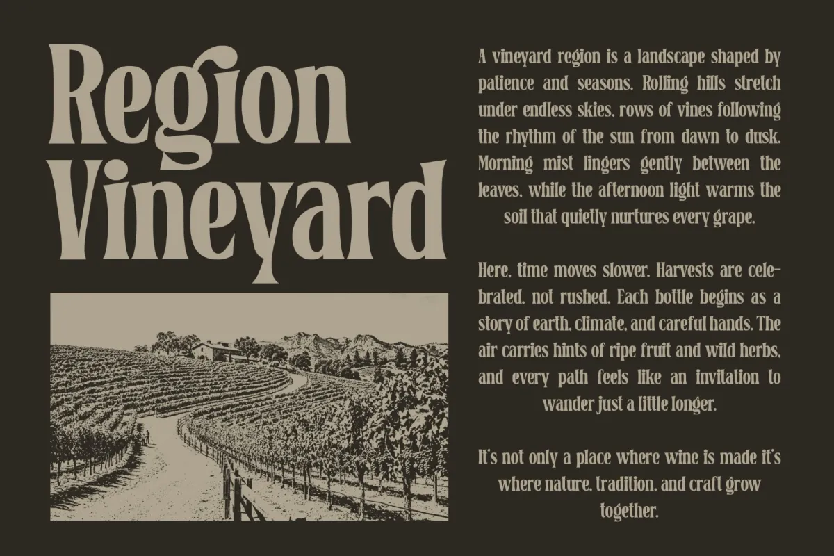 Belgino – Elegant Serif Font
