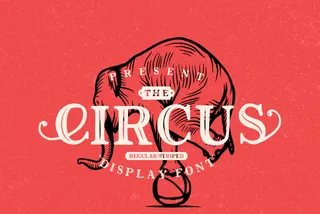 The Circus Display Font