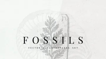 Fossils Vector Illustrations Set