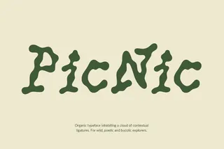 Picnic - Freaky Funny Font