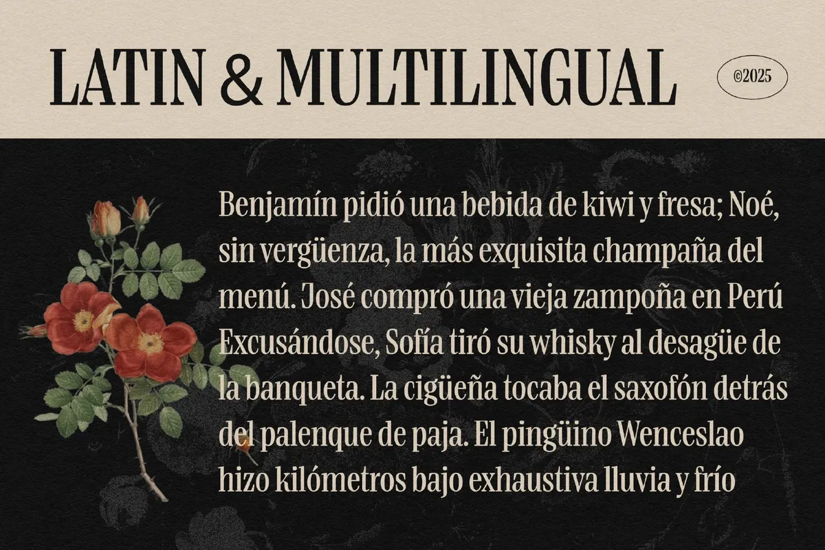 Boldentia Font