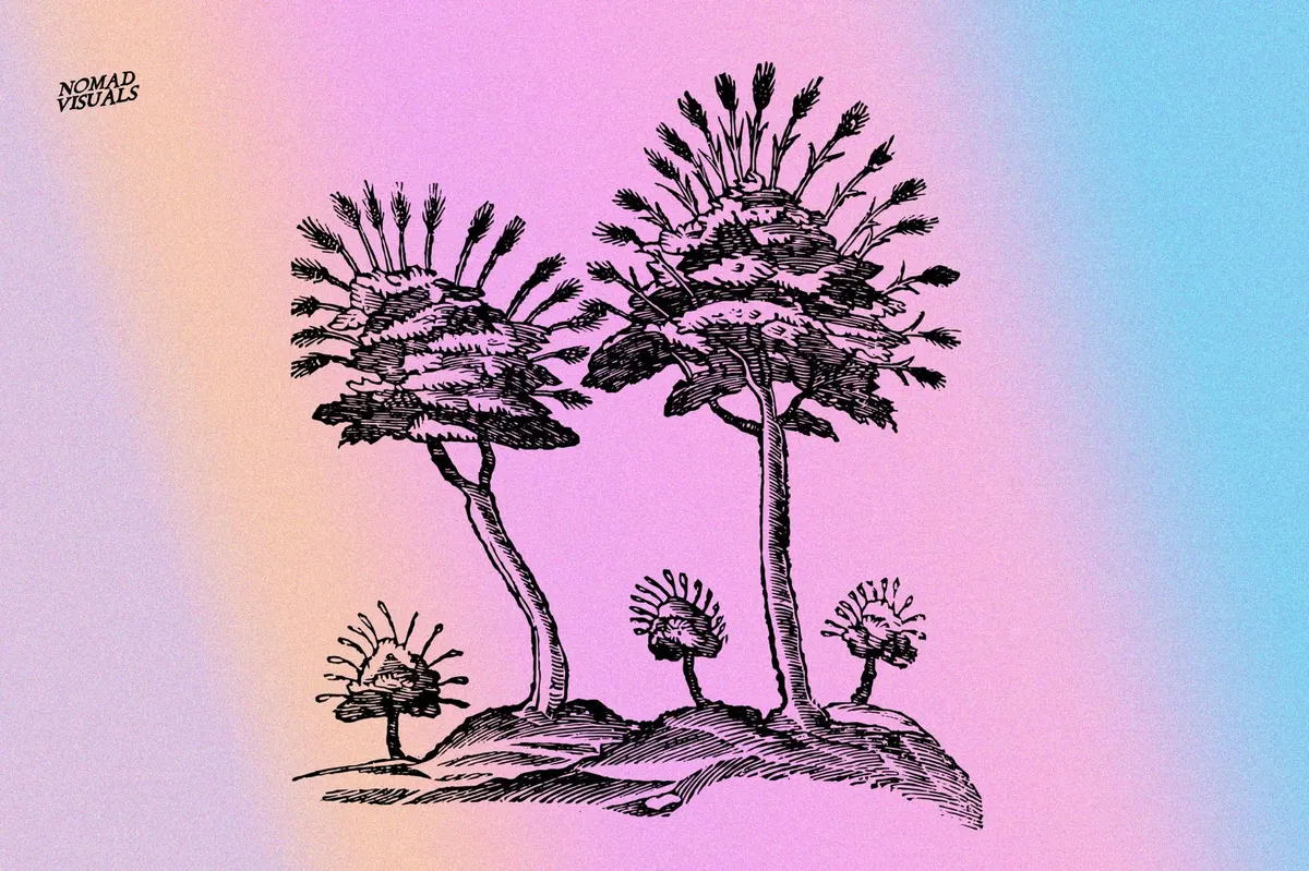 Prodigiorum Naturae - Illustrations