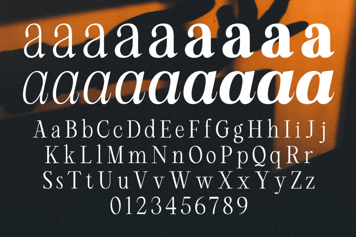 RCL Arviel – Modern Editorial Serif Font Family