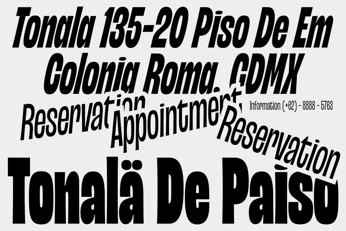 Nebraska - Tall Condensed Display Font Family