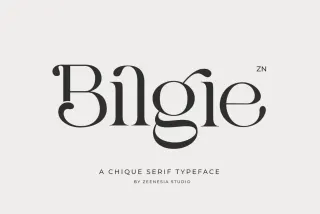 Bilgie - Chic Elegant Font
