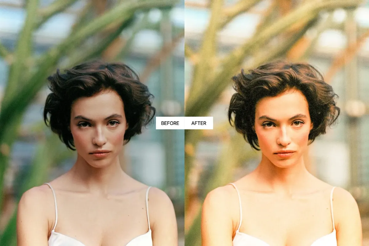 Kodak Gold 200 Lightroom Presets