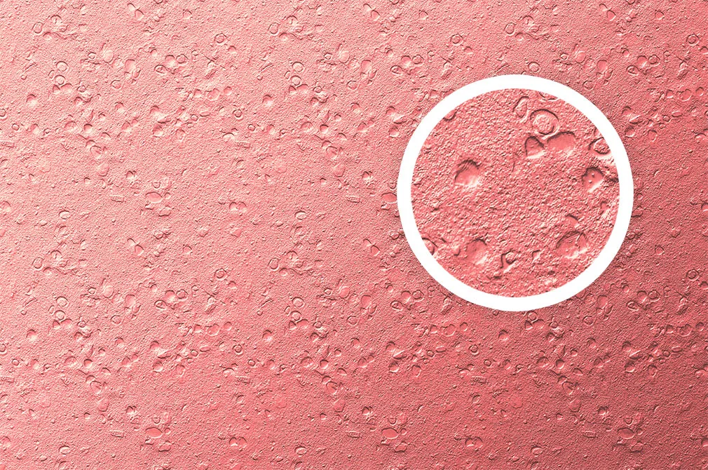 Rose Gold Textures