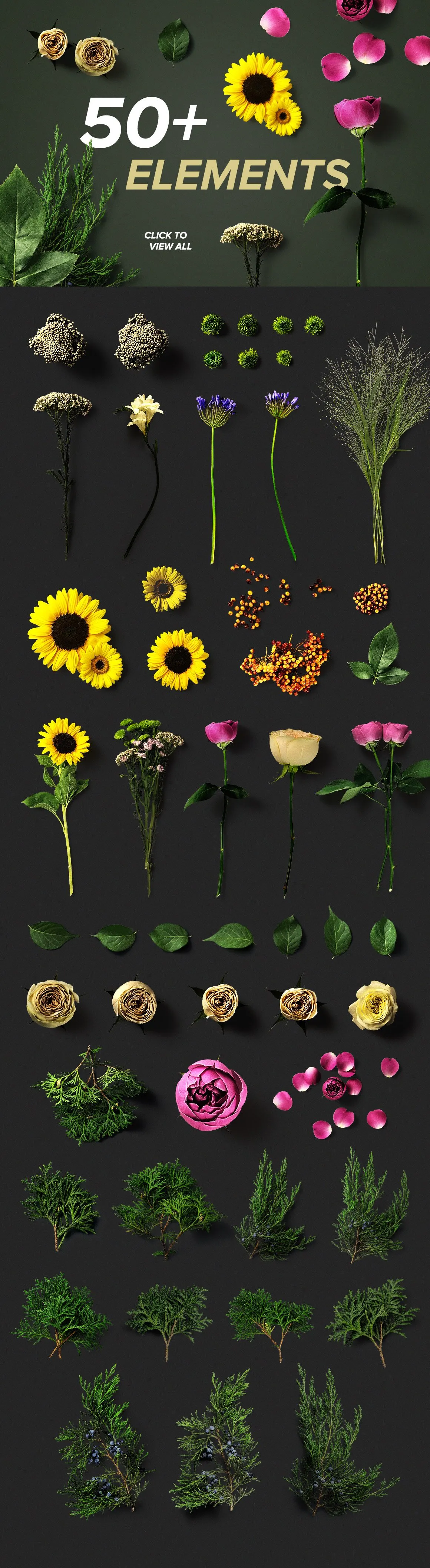 Flower Boom Graphic Pack