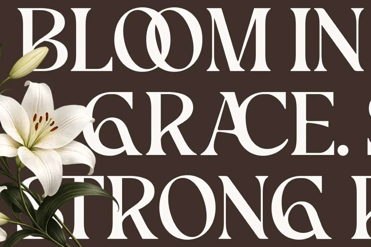 Picktea – Elegant Modern Serif Font