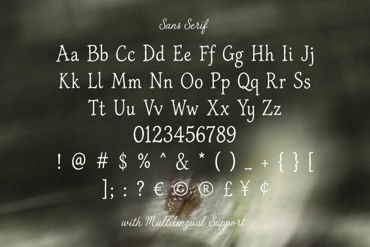The Sunny Field - Rustic Serif & Script Duo