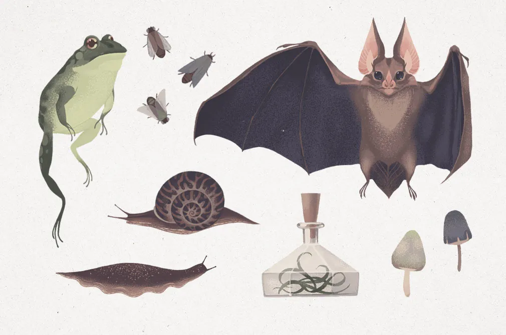 Natural Halloween Graphic Set