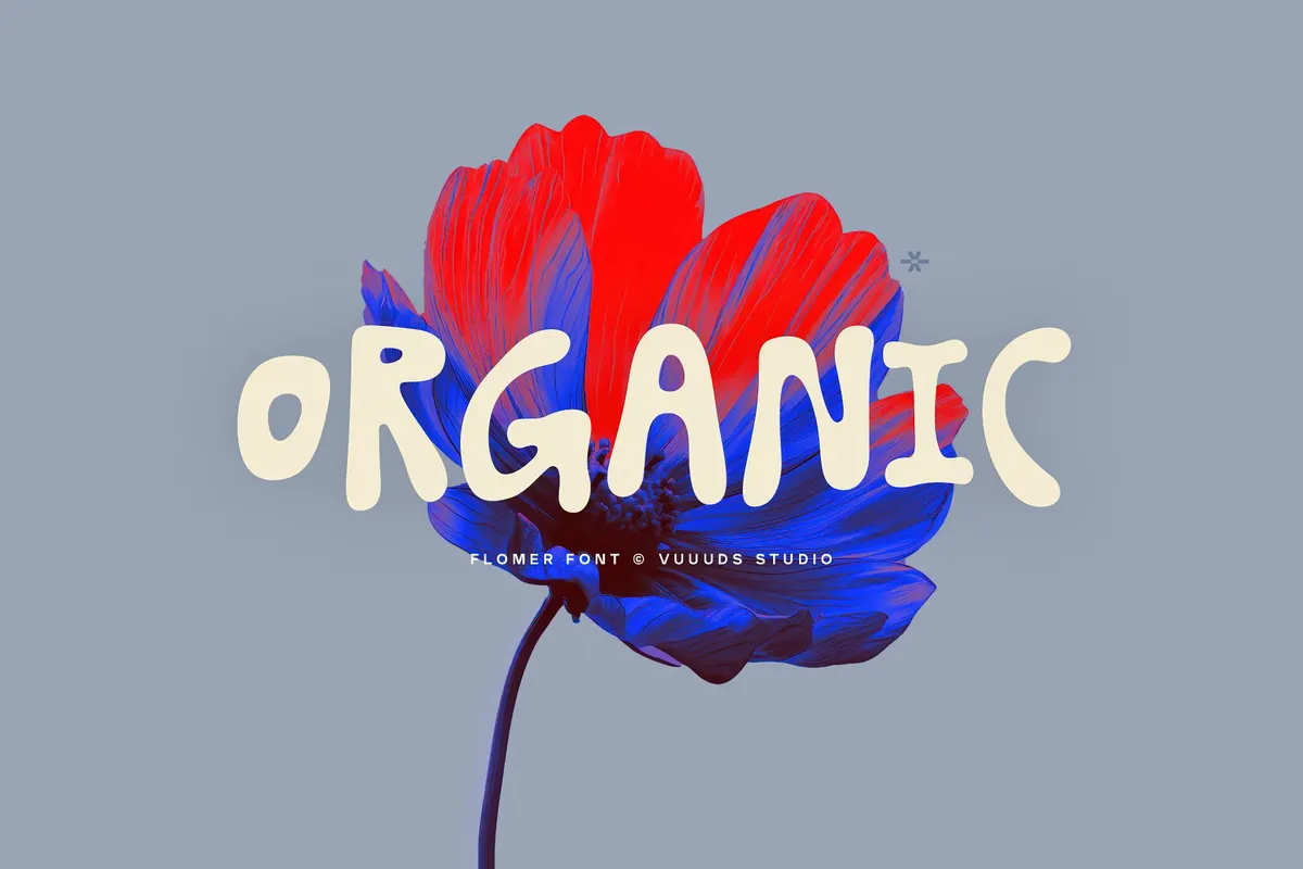 Flomer - Bouncy Display Font