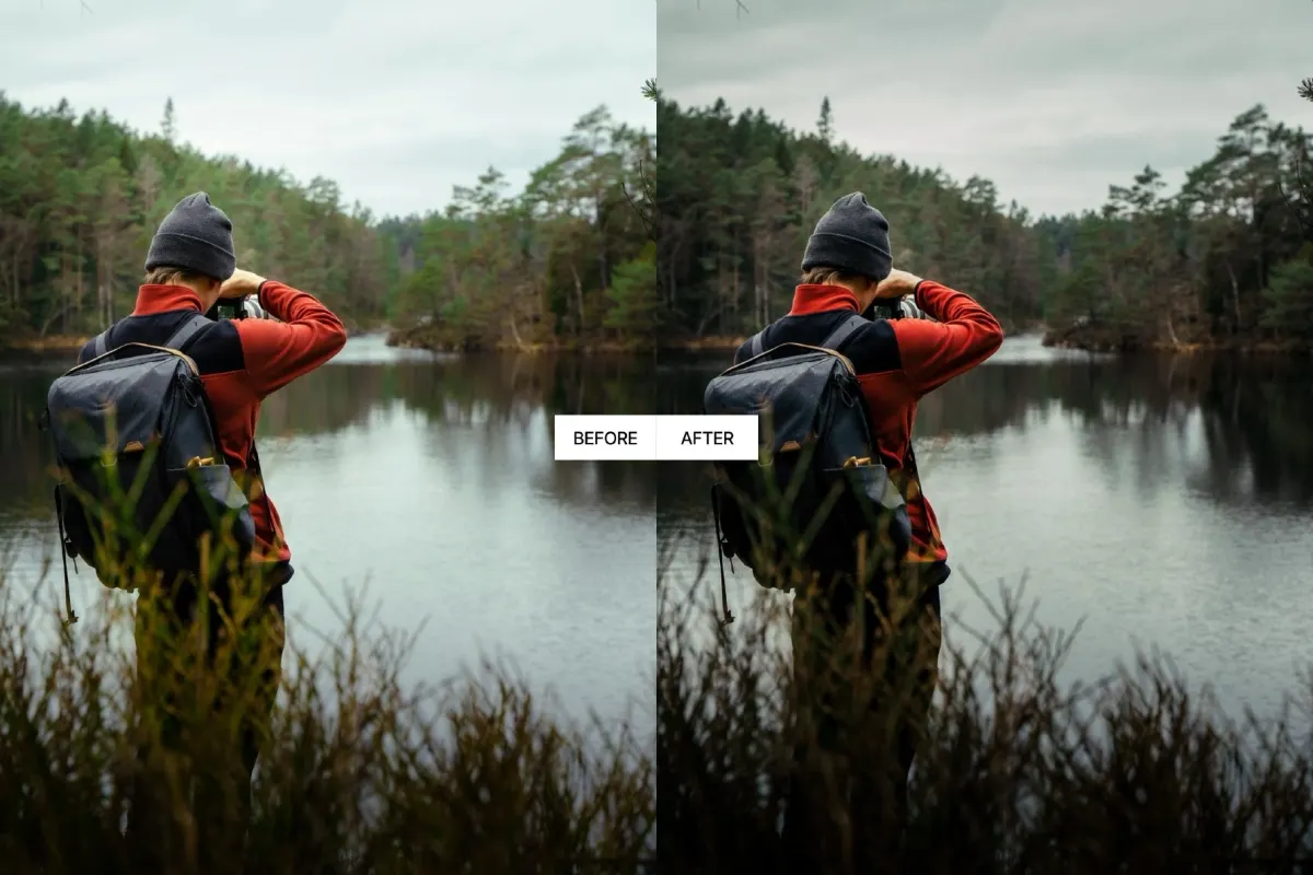 Dark Forest Moody Lightroom Presets