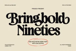 Bringbold Nineties — Serif Font