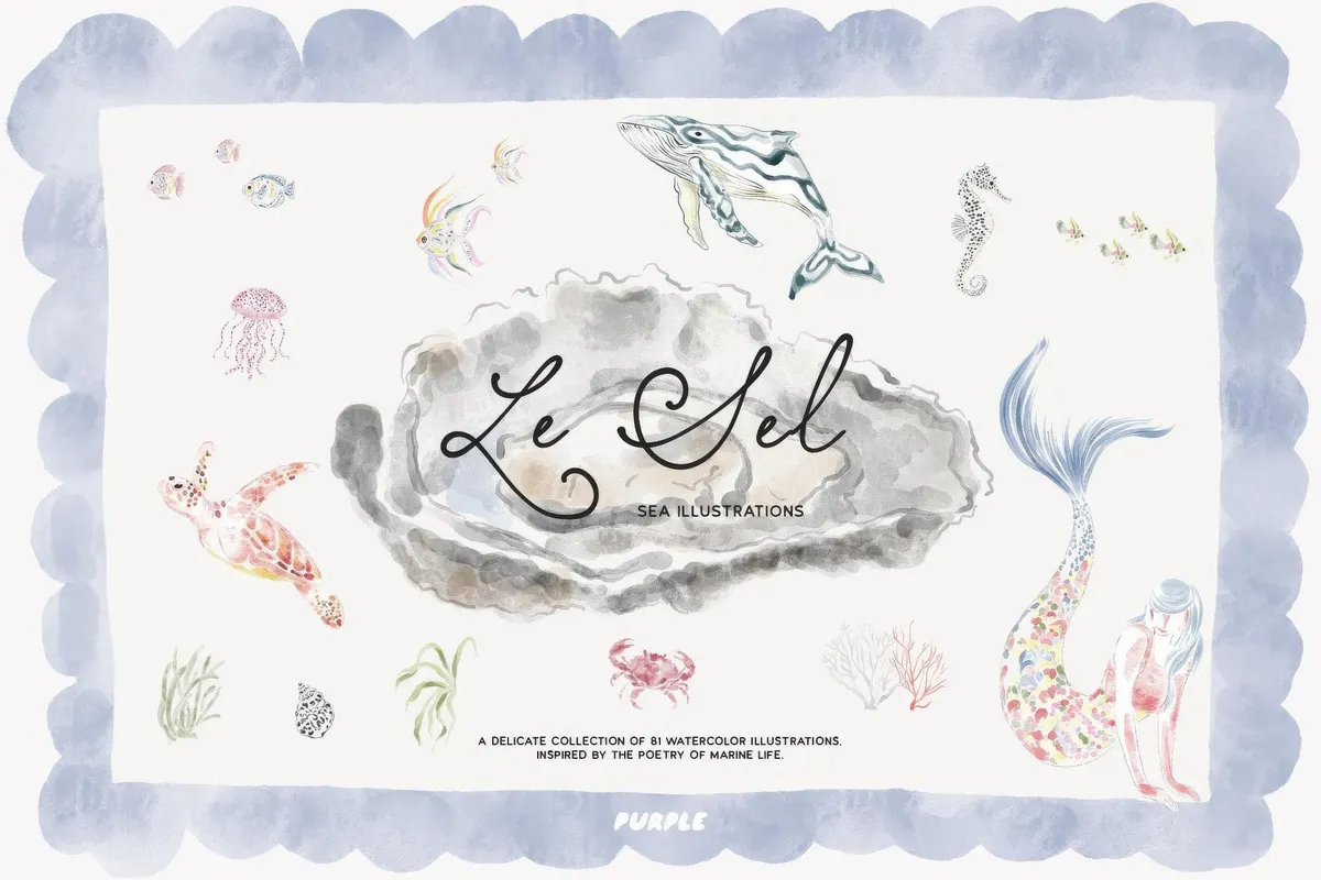 Le Sel: Watercolor Sea Illustrations
