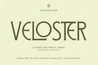 Veloster - Luxury Editorial Serif Font