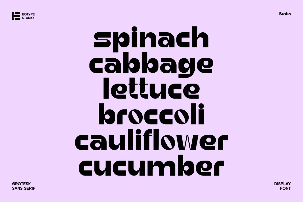 Bunka - Modern Geometric Sans Serif Font