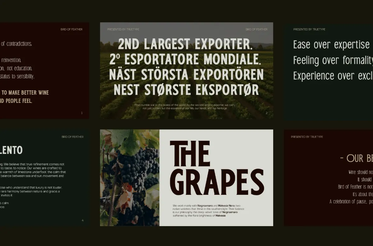Bird of Feather - Condensed Display Serif Font