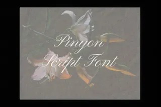Pinyon Script Font