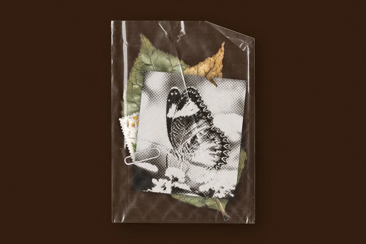 Small Plastic Bags Pack