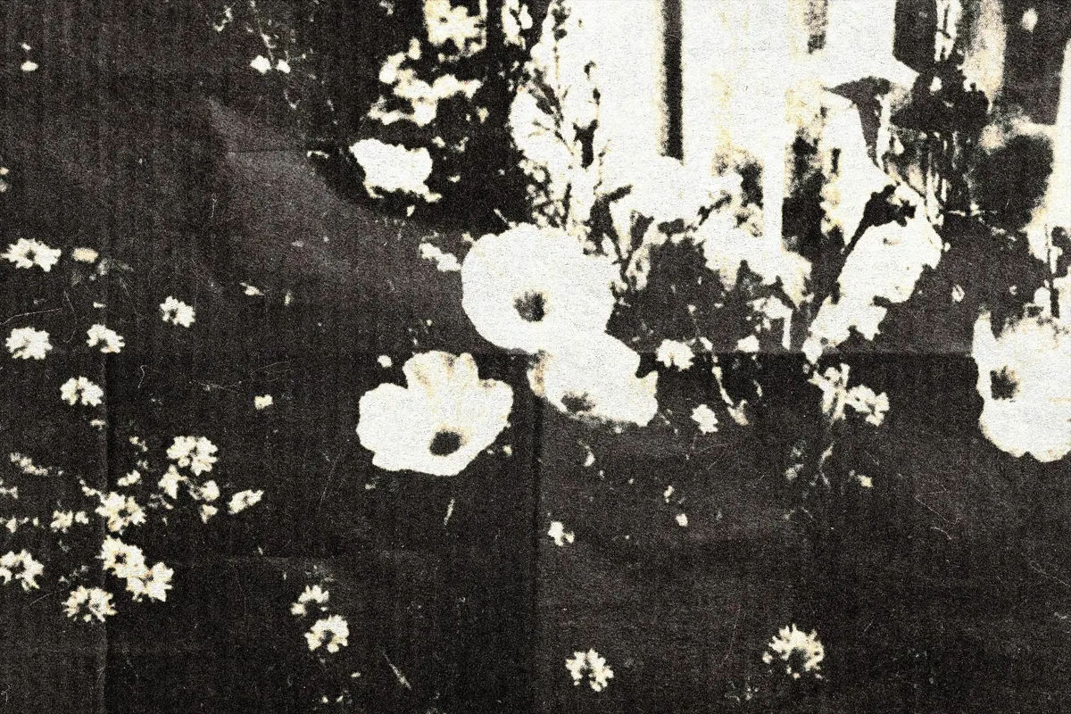 Dark Chamber Photo Print