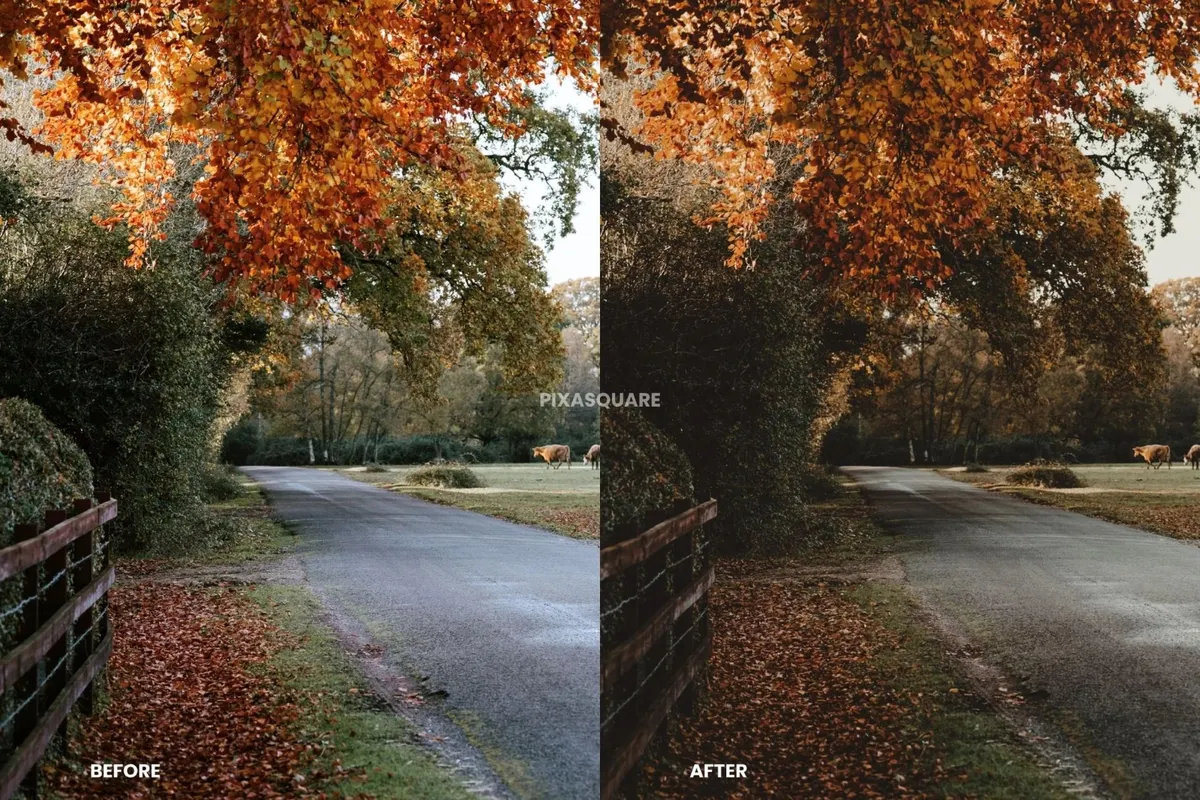 Moody Fall Lightroom Presets