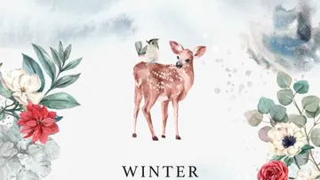 Winter Flowers Watercolor Clipart