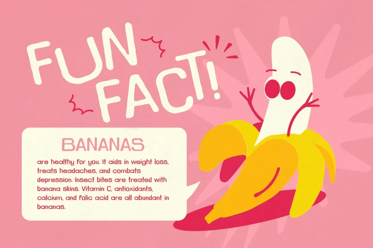Real Talk Type - Playful Rounded Retro Font