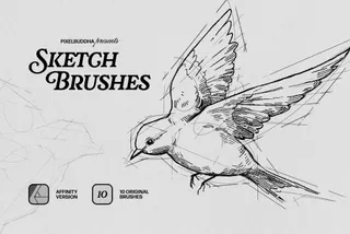 Sketch Affinity Designer Brushes