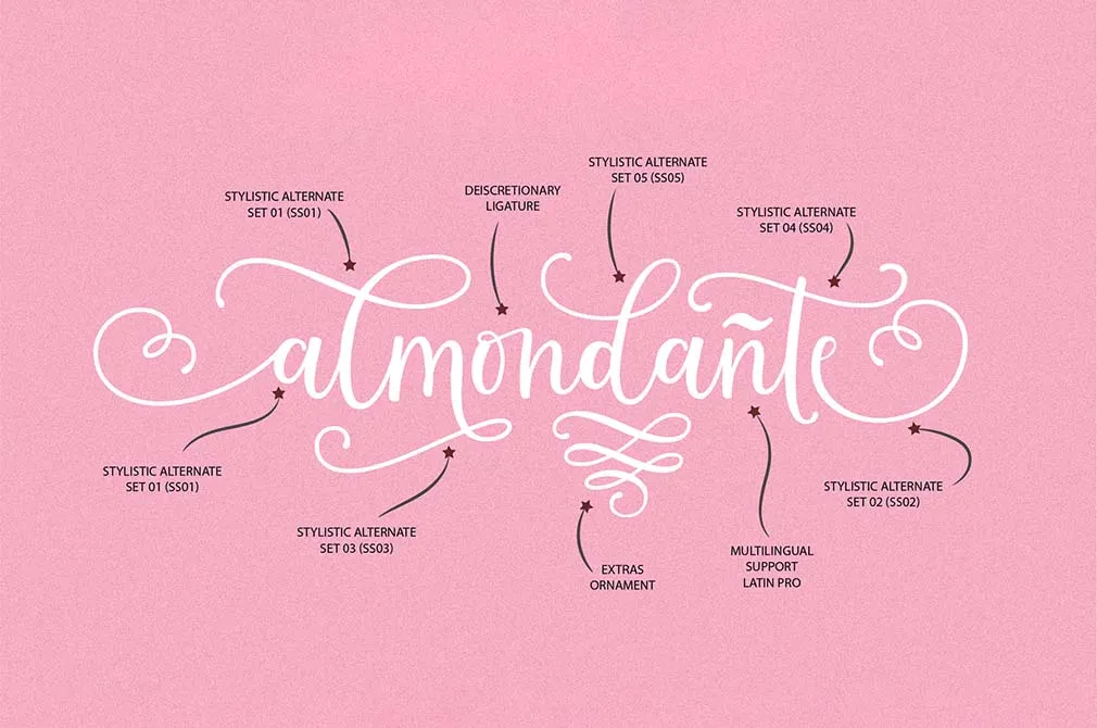 Montgova Script Font