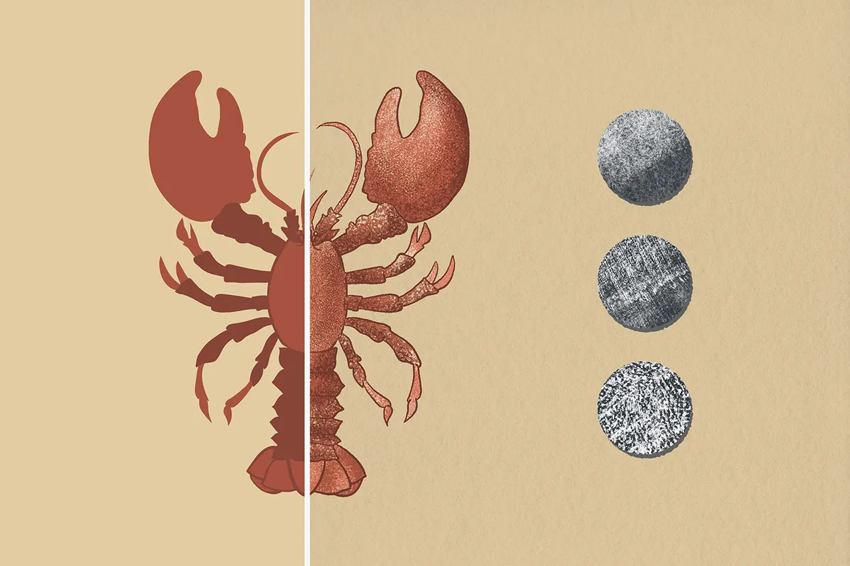Tinge Texture Photoshop Brushes
