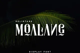 Moalang Display Font