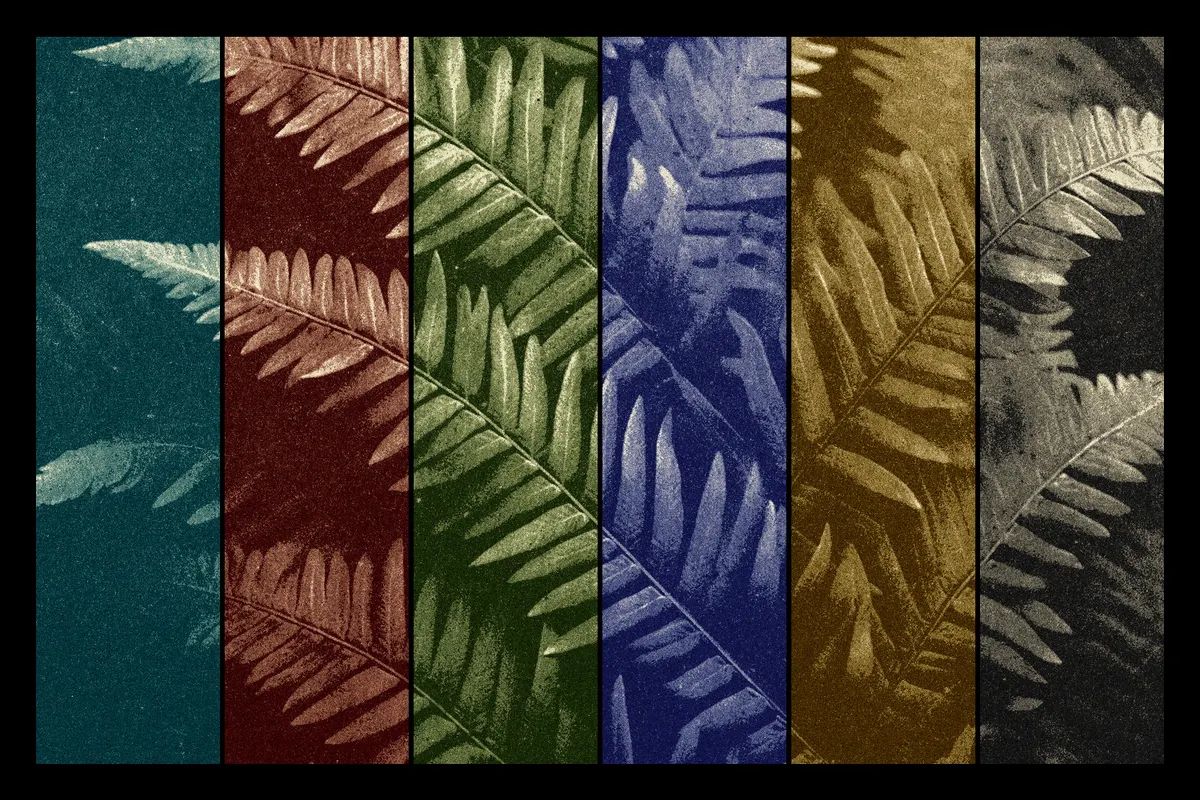 Tinted Riso Card Photo Effect