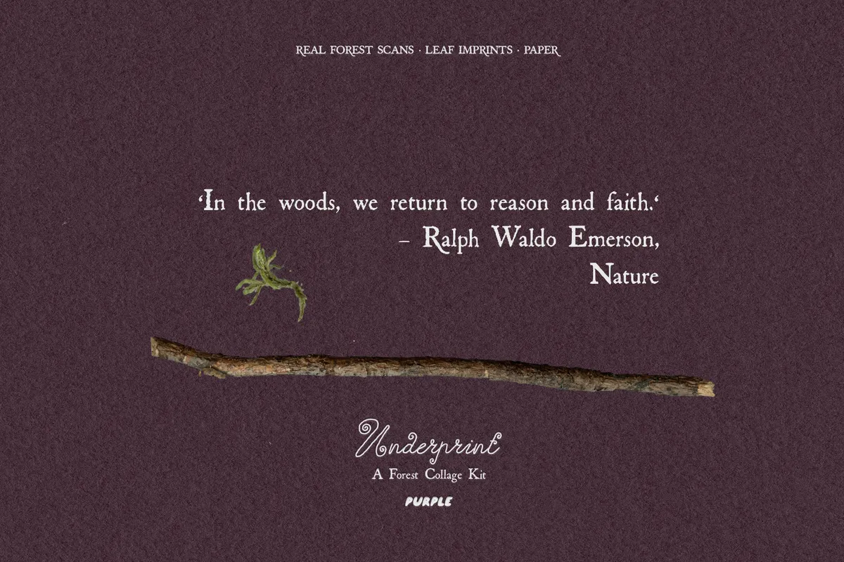 Underprint: Forest Collage Material Kit