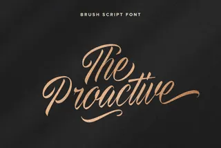 The Proactive Script Font