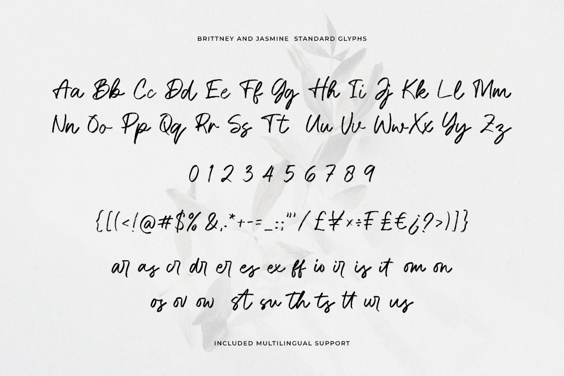 Brittney and Jasmine - Signature Brush Font