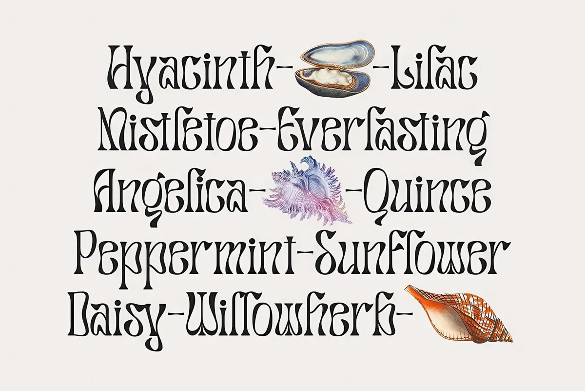 Salty Mussy - Quirky Twisted Display