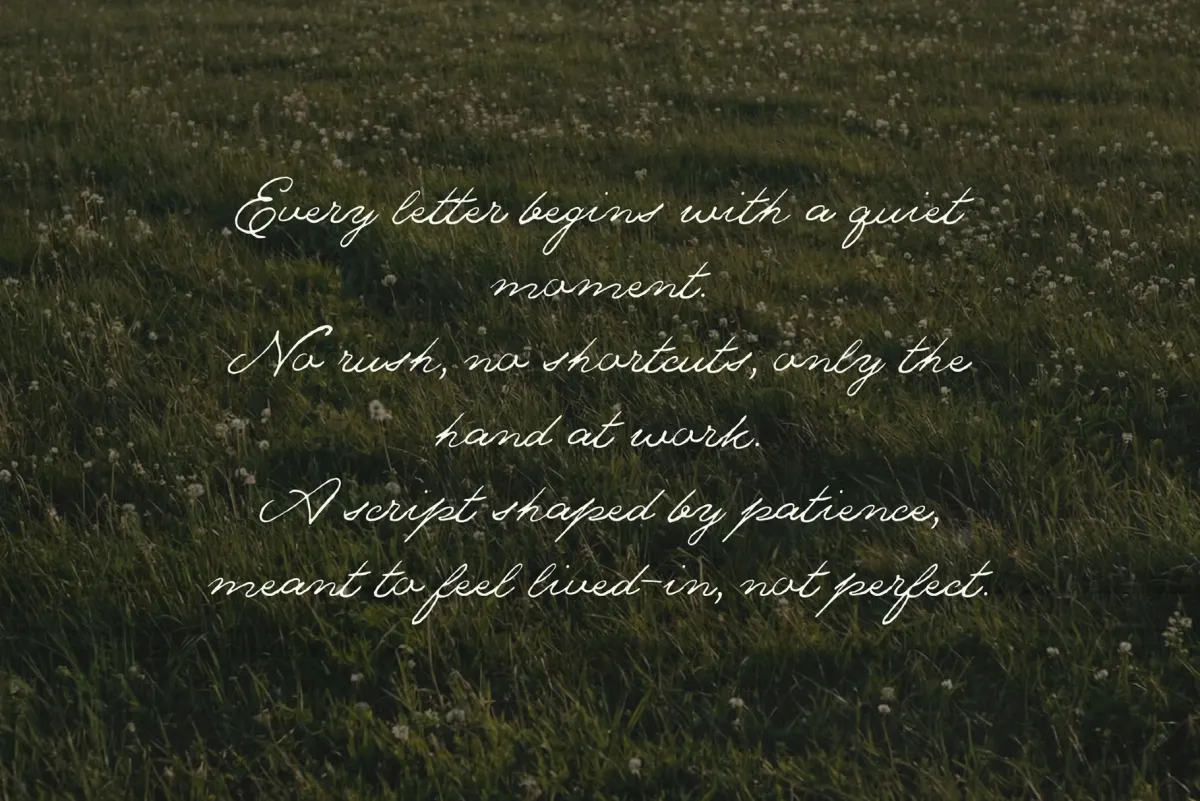 The Meadows — Font Trio & Extra