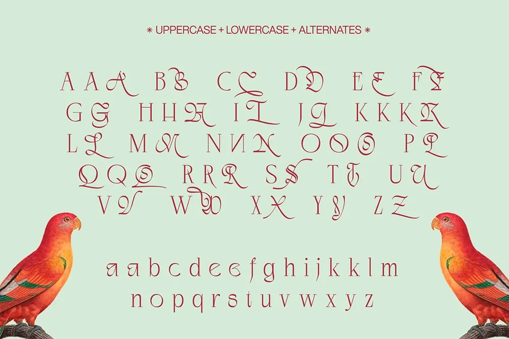 Negkomis - Luxury Fashion Serif Font