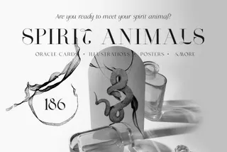 Spirit Animals. Oracle Cards